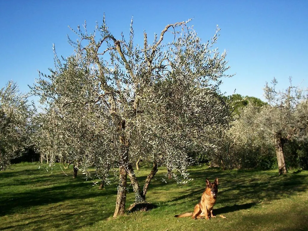 Podere Il Caggio Rooms San Gimignano Casa di campagna